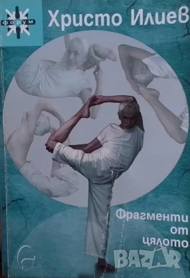 Фрагменти от цялото Христо Илиев, снимка 1