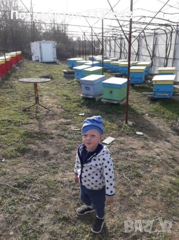 biznes imot, снимка 2 - Къщи - 53539154