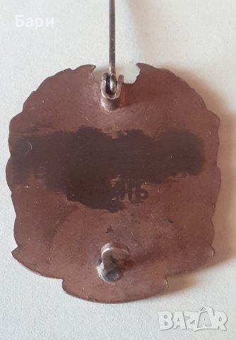 Царски значка,знак Видинь-Дунавска Юнашка Область, снимка 8 - Други ценни предмети - 41979333