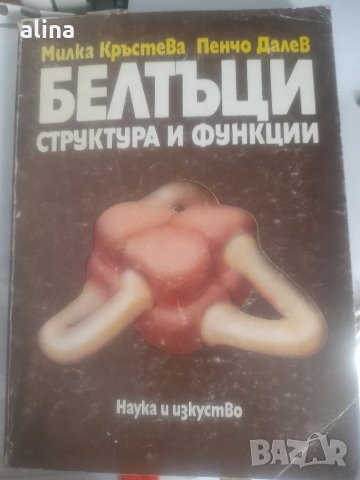 БЕЛТЪЦИ структура и функции Милка Кръстева Пенчо Далев