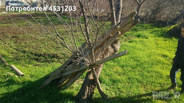 Вила с двор, снимка 2 - Вили - 53090519