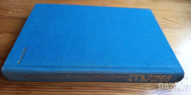 Стършел - Етел Лилиан Войнич, снимка 6 - Детски книжки - 51279075