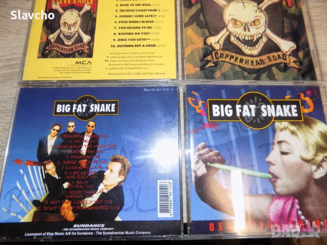 Дискове на -Steve Earle –Copperhead Road/Big Fat Snake-Beautiful Thing/ Roger McGuinn-Back from Rio, снимка 9 - CD дискове - 39950432