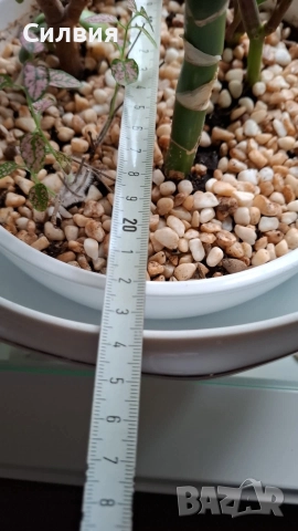 Стар красив супник (без капак), снимка 8 - Антикварни и старинни предмети - 52678741