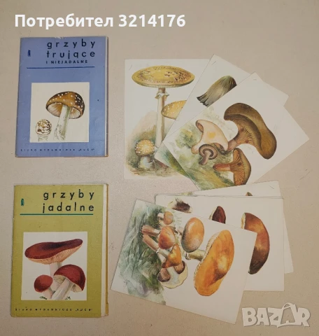 Vintage: Grzyby Jadalne / Grzyby Trujace – I. Niejadalne