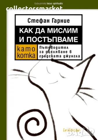 Как да мислим и постъпваме като котка