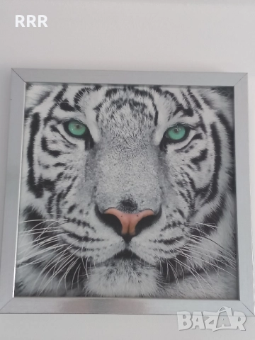 Картини, снимка 3 - Картини - 51610489