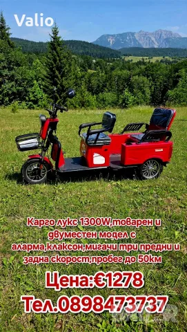 Електрическа триколка двуместна товарна 1000W