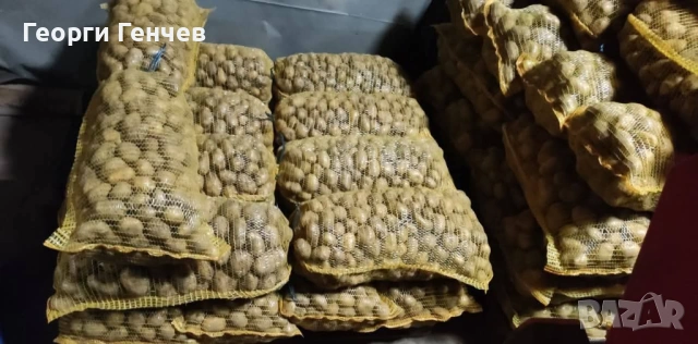 Продавам Картофи, сорт Сорая, снимка 4 - Други - 53213639