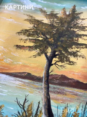 П. Петров майсторска картина, снимка 3 - Картини - 49752347