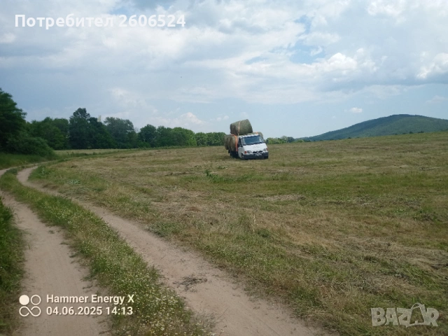 Малки бали сено и люцерна , снимка 4 - Крави - 53236528