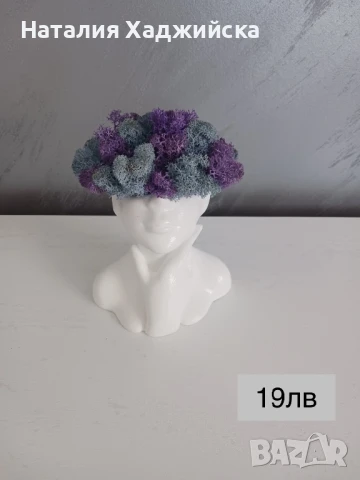 Кашпи със скандинавски мъх – тип „Лице“, снимка 7 - Декорация за дома - 51278821