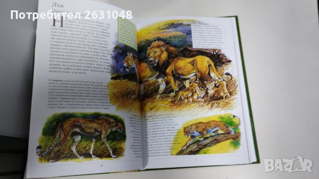 най известните животни в българия и по света, снимка 5 - Детски книжки - 42730288