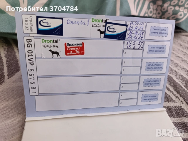 Продавам немска овчарка , снимка 6 - Немска овчарка - 53163238