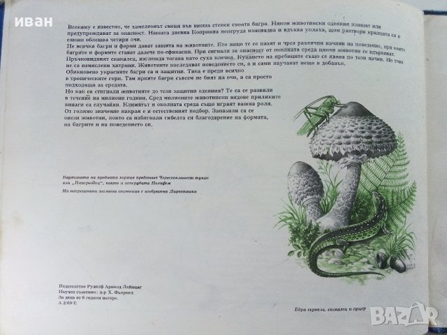 Чудеса на природата - З. Зорге, Х. Шрайер - 1971г. , снимка 9 - Детски книжки - 41855286