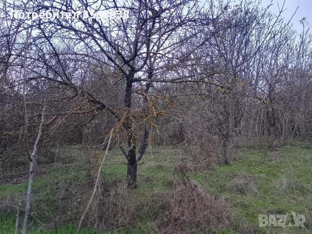 Вила ,със застроена площ 50 кв  м (има и гараж), , снимка 10 - Вили - 52789100