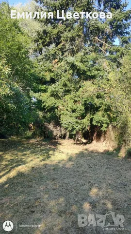 Имот село Ковачевци, община Самоков 