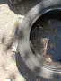 Гуми летни и зимни, снимка 5