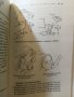 Как да станеш страхотна любовница  Автор: Лу Пажет, снимка 8