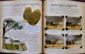 Записки на изследователя: Сафари животни, снимка 4