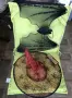 Хелоуин карнавални детски костюми, снимка 1