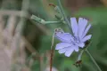 Обектив Tamron AF 28-300mm f/3.5-6.3 XR Di LD Aspherical (IF) Macro (А061) за Nikon F байонет, снимка 12