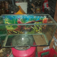 аквариум , снимка 3 - Други стоки за дома - 44557815