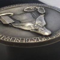 Италиански медал 1969 г сребро 986/1000

, снимка 4 - Нумизматика и бонистика - 41724554