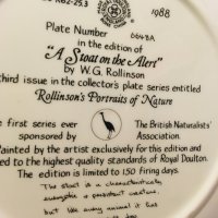 колекционерска порцеланова чиния Royal Doulton, снимка 4 - Декорация за дома - 39260376