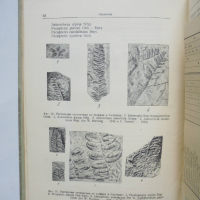 Книга Геология на България. Част 1 Еким Бончев 1955 г., снимка 3 - Специализирана литература - 36146255