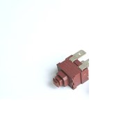 Ключ висок PS102 мрежов за прахосмукачка 2pin с 2 положения черен 250V 16A 19x13mm, снимка 1 - Прахосмукачки - 42365705