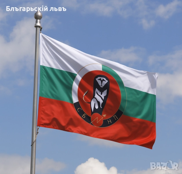  Знаме на Съюз на Българските Национални Легиони (СБНЛ), снимка 1
