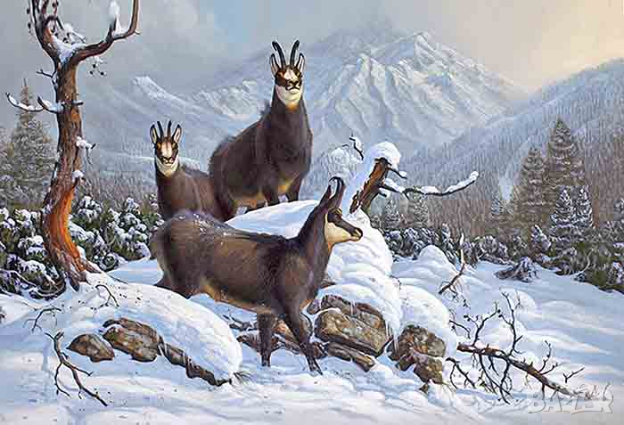 Зимен пейзаж с диви кози, картина, снимка 1