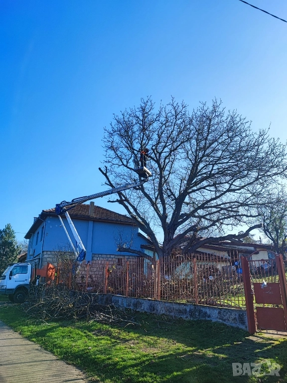 рязане, кастрене и почистване , снимка 1