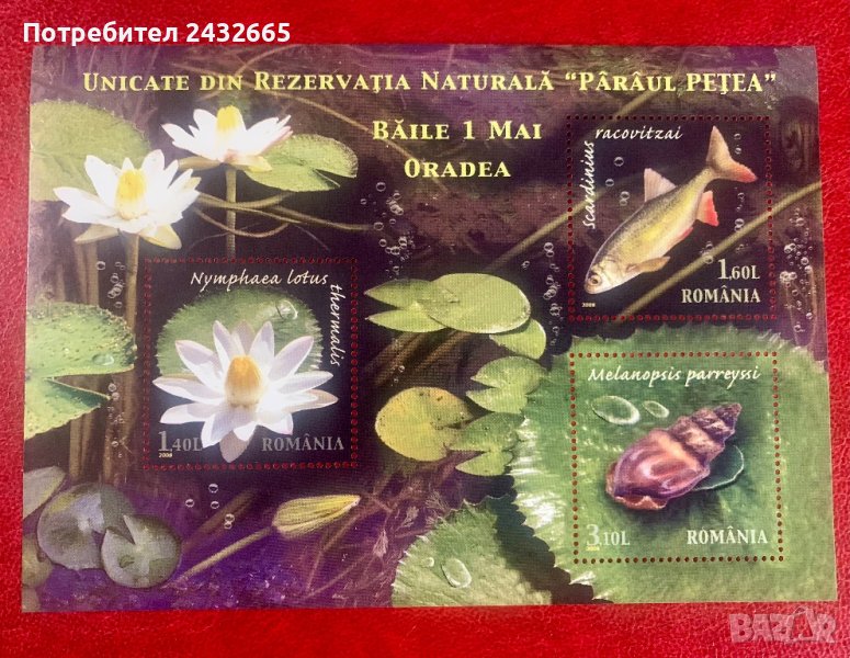 1720. Румъния 2008 = “ Флора и Фауна. Природен резерват “ Paraul Petea “ , **, MNH , снимка 1