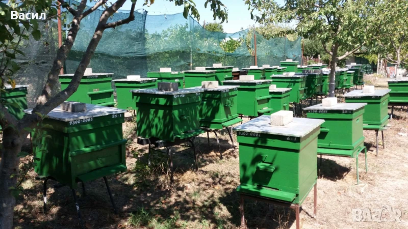 Натурален пчелен мед, снимка 1