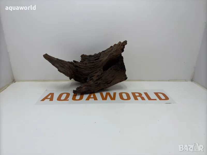 Мангров корен 38, снимка 1