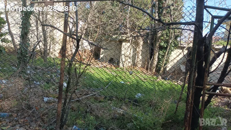 Почистване и Засаждане , снимка 1