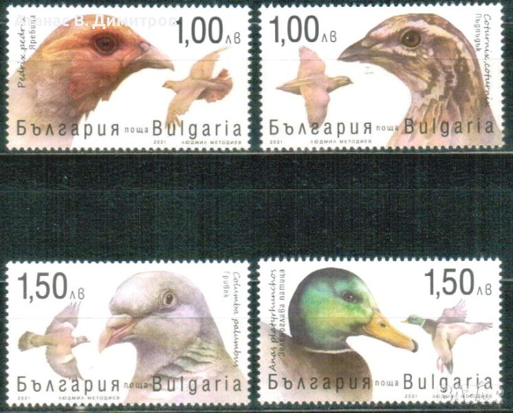 Чисти марки Дивеч Фауна Птици 2021 от България, снимка 1
