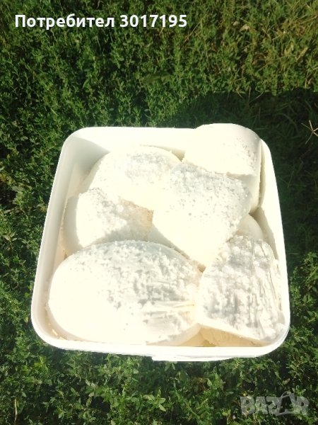 Домашно  КОЗЕ мляко, сирене!, снимка 1