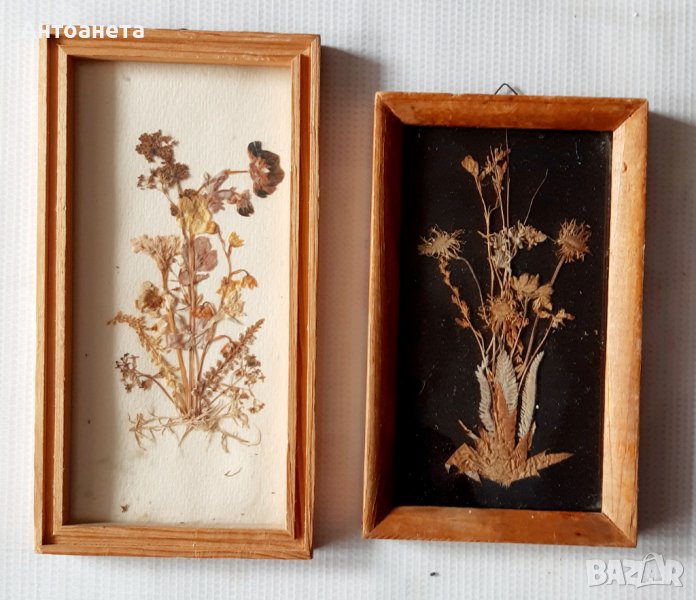 Две стари декоративни пана от изсушени цвета, снимка 1
