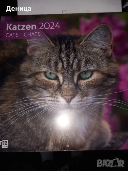 Нов календар, снимка 1