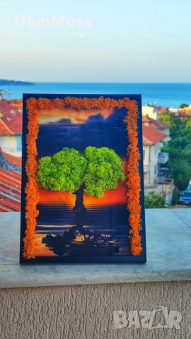 Жива картина / пано за подарък за учител, за първия учебен ден със скандинавски мъх, снимка 16 - Арт сувенири - 42025813