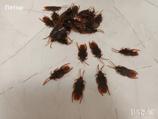 Хлебарки силиконови, гумени хлебарки играчки, снимка 2 - Други - 52088669