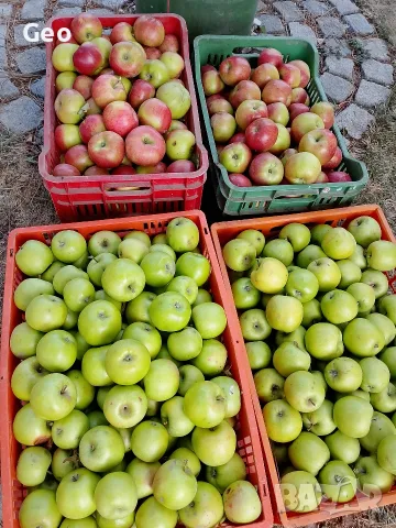 Домашни сладки ябълки, снимка 3 - Домашни продукти - 56329744