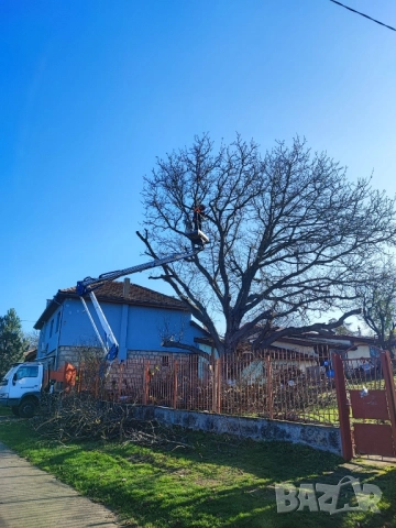 рязане, кастрене и почистване 