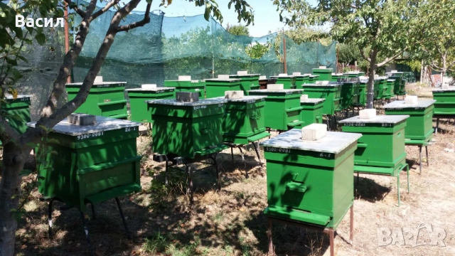 Натурален пчелен мед