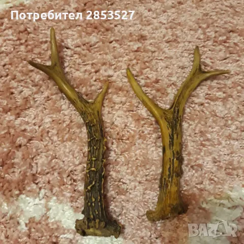 Еленски Рога