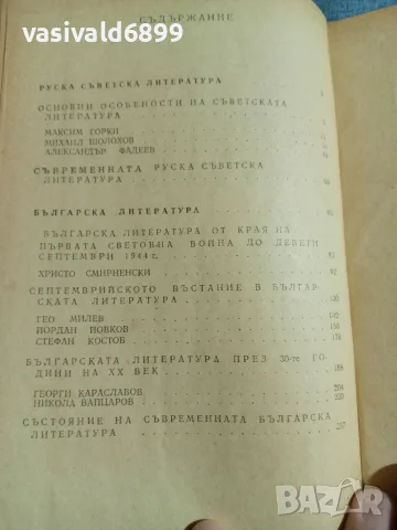 Литература за 11 клас , снимка 5 - Учебници, учебни тетрадки - 56330728