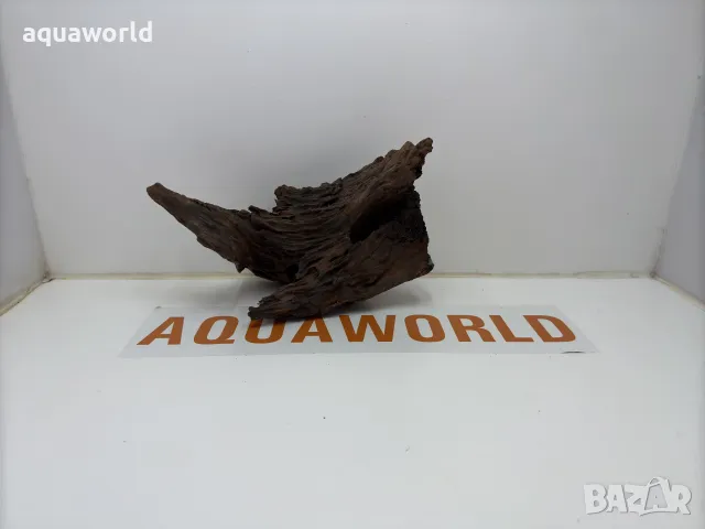 Мангров корен 38